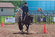 scan5.jpg